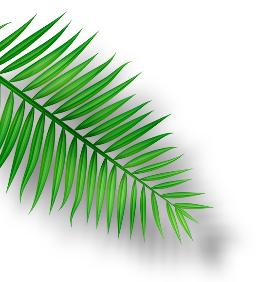 leaf01