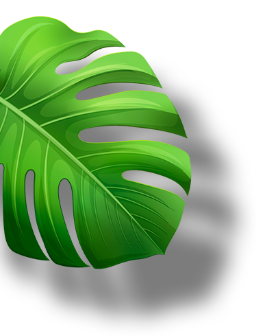 leaf02