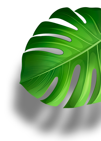 leaf03