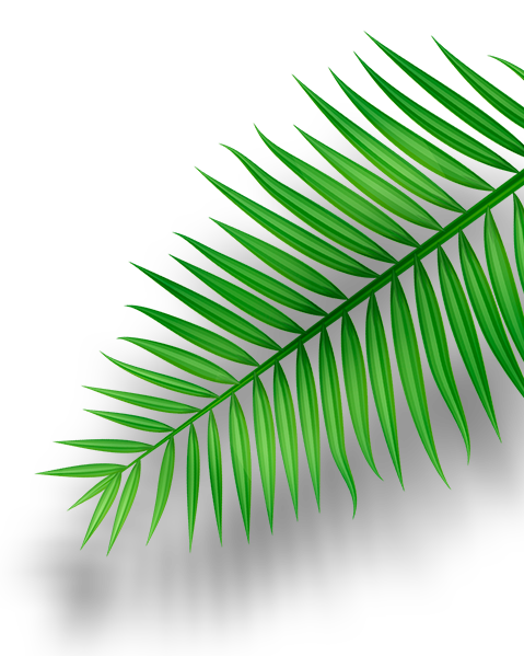 leaf04
