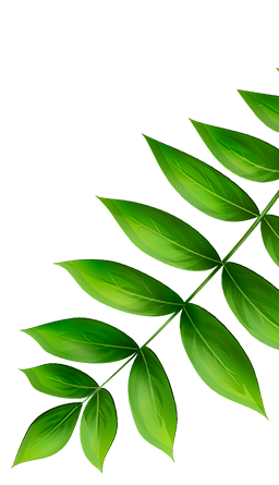 leaf06